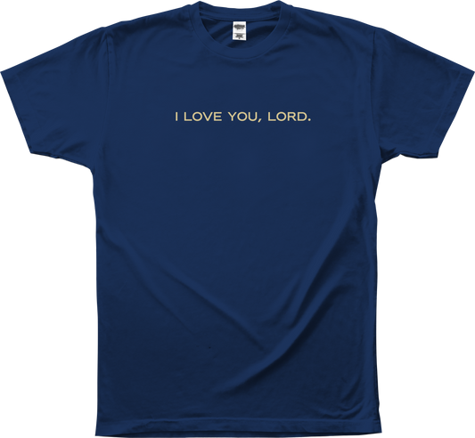 Goodness of God - Navy Tee