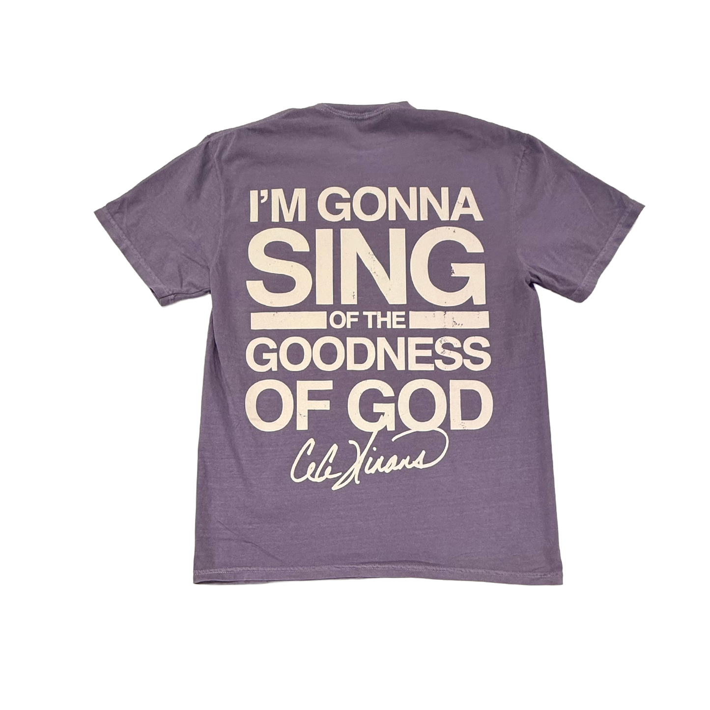 Goodness Of God - Purple Tee
